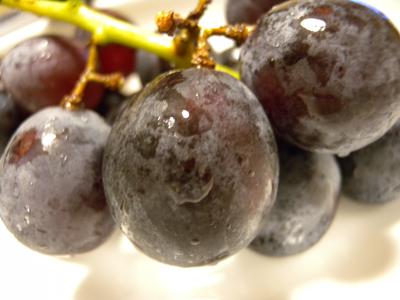 grape.jpg